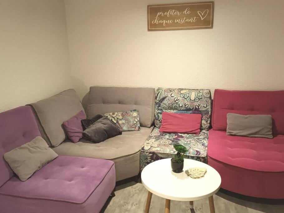Saint-Sauveur  Gite De Cyrielle Et Pascal Classe 3 *ヴィラ エクステリア 写真